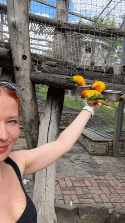 Families feed colorful parrots at Russian bird park