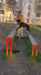 Dog training session observed at Sofia park