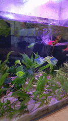 Indoor scenes captured across Izhevsk: aquarium, stairwell, workspace