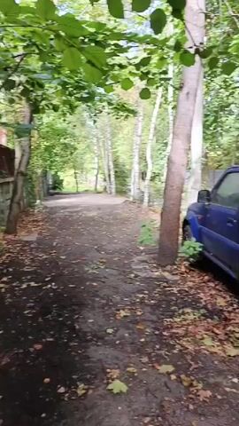 A blue Suzuki Jimny is parked on a dirt path surrounded by trees and fallen leaves. The vehicle has a spare tire mounted on the back. The ground is covered in dirt and leaves, and a tall, thin tree with white bark is standing to the left of the vehicle. A fence is visible in the background, behind more trees and greenery. The scene appears to be in a wooded area, possibly a park or a natural setting. The lighting suggests it is daytime.