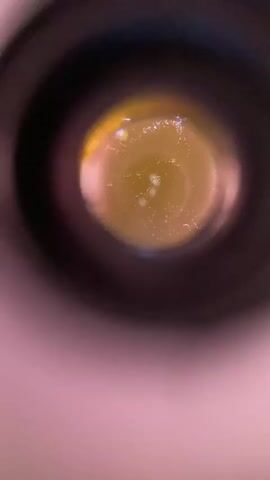 The video shows a close-up, blurry view into what appears to be the interior of a cylindrical object. The lighting is dim and cast with a purple hue on the outer edges, with a yellowish-green light source coming from the center. Within the center, there are several small, white, irregularly shaped particles scattered across a slightly viscous-looking surface. The particles appear to be clustered in the middle, with some individual particles dispersed further out. There is a sense of depth, with the central area appearing to recede.