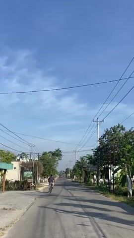 A person is cycling on a paved road on a clear day. The road is lined with trees and utility poles with many wires. The person is wearing a dark shirt and shorts and is moving away from the camera. There are houses and buildings visible on both sides of the road, and some cars are visible in the distance. The sky is blue with some scattered clouds.
