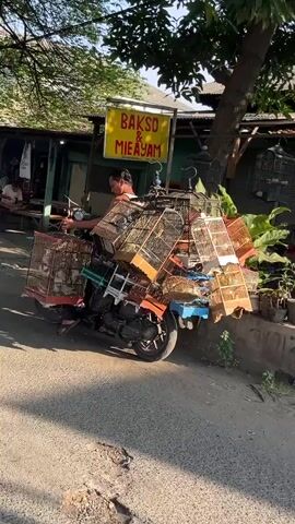 A man is seen with his motorcycle parked on the side of a road. The motorcycle is heavily laden with bird cages, stacked precariously on the back and sides, some containing birds. The man is wearing a light-colored tank top and appears to be adjusting one of the cages. Behind him, there are signs for "BAKSO & MIE AYAM" (Indonesian food dishes) and "Zidan Collection" suggesting a commercial area. The environment appears to be outdoors, possibly a street market or roadside vendor setting, with a tree providing some shade. The overall scene depicts a vendor transporting birds for sale.