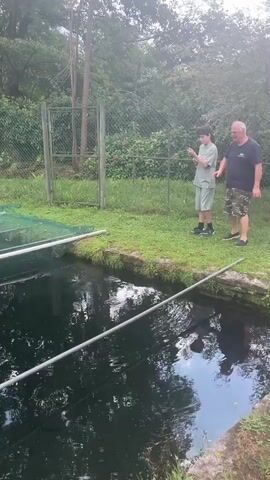 The video opens with a wide shot of an outdoor pond or pool. Two people, a boy and an adult man, are standing on the grassy bank of the pond, which has concrete edges. The boy is wearing a light green t-shirt and shorts, and the man is wearing a dark t-shirt and camouflage shorts. The boy is holding what appears to be a fishing rod and casting into the pond. He is looking towards the water, and the man is standing next to him, also looking in the same direction. The pond is dark and reflects the trees and sky above. There are some large pipes or poles extending across the pond. A net is visible on the left side of the pond. The background is filled with trees and foliage, and a chain-link fence is visible behind the individuals.

As the video progresses, the boy completes his cast. A fish then jumps out of the water near where the boy cast. The boy and the man react to the fish jumping, with the man smiling and saying "Bravo." The boy lowers his fishing rod. The boy and the man then walk away from the pond together. The camera remains focused on the pond and the surrounding area.