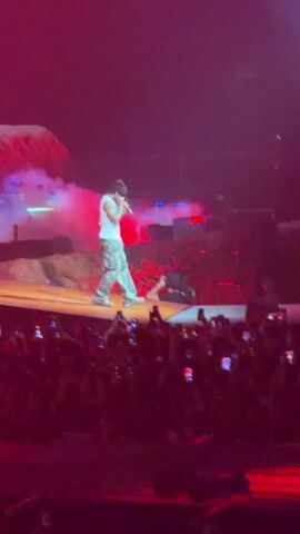 A full shot from an eye-level angle shows a stage with a male singer, performing for a large crowd. The male singer is light-skinned, and he is wearing a white tank top and camouflage patterned pants, and singing into a microphone. The singer is walking around on the stage, moving towards the audience. The crowd is in the foreground and their hands and phone are reaching up towards the stage. The stage is built with large rocks and boxes. The lighting is bright pink, with some white spotlights. There is fog emanating from the rocks.