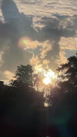 The video captures a view of the sky as the sun begins to set, partially obscured by clouds and silhouetted trees. Sunlight streams through gaps in the clouds, creating bright rays and a warm glow. Lens flares, appearing as colored circles, are visible in the sky and also a bright flare in the lower right corner. Small birds can be seen flying in the distance. The lower portion of the frame is dominated by the dark silhouettes of trees and the top of a building. The overall scene is dynamic, with the shifting clouds and dramatic lighting suggesting a change in weather or time of day.