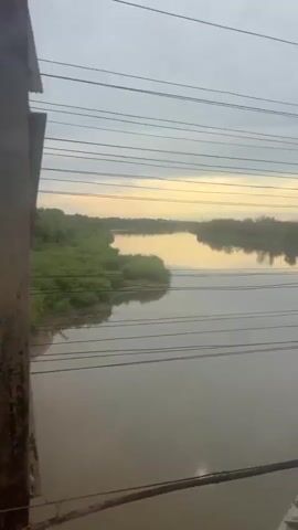 The video pans across a muddy river and lush green vegetation on its banks. The perspective is from a bridge, with rusty metal structures and electrical wires visible in the foreground. The sky is overcast, with a hint of sunlight breaking through in the distance. The camera moves slowly, capturing the serene, natural landscape.