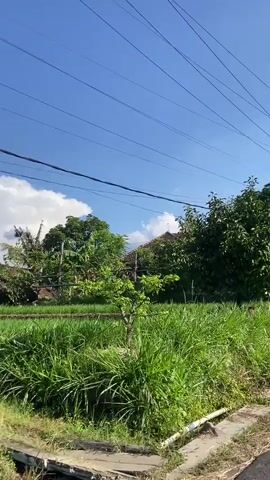 The video begins with a view of a tree in a grassy area under a blue sky with power lines overhead. The camera pans to the right, showing more trees and a stone wall. The view then shifts to a road with a few cars and people in the distance. The camera continues to pan right, showing more trees and buildings along the road. The video ends with a view of a mountain in the distance. The scene appears to be in a rural or suburban area. The weather is sunny and clear. There are no discernable interactions between people or objects. The overall impression is of a peaceful, scenic drive.