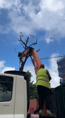 Worker operates crane to lift tree trunk at Barcelona construction site