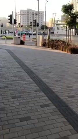 The video shows a paved brick pathway with a tactile walking surface indicator running down the middle. In the background, there is a street with cars and a traffic light. Buildings are visible in the distance. A white cat walks across the pathway from left to right. The sky is clear.