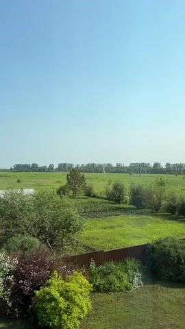 The video shows a wide, panoramic view of a rural landscape under a clear blue sky. In the foreground, there is a lush green lawn with various bushes and shrubs, including a bright yellow-green shrub, a dark red-leafed bush, and white-flowered bushes. A brown wooden fence runs horizontally across the middle ground, separating the immediate yard from a larger field. Beyond the fence, a vast, green field stretches to the horizon, dotted with small trees and patches of what appear to be cultivated land. A white greenhouse or structure is visible in the middle ground to the left. In the far distance, a line of trees forms the horizon, with utility poles interspersed. The scene is well-lit, suggesting daylight, and the overall impression is one of a peaceful, natural setting. There are no people or animals visible in the frame.