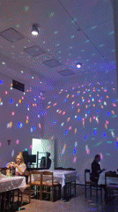 Russian karaoke session observed at indoor party venue