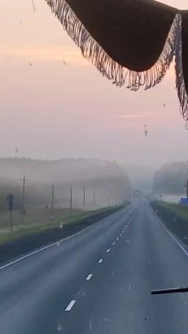 The video shows a view from inside a vehicle, looking forward on a road. The road is paved with white dashed lines. On either side of the road are grassy areas and trees. The sky is hazy and pinkish-orange, suggesting sunrise or sunset. There are some dark, fuzzy objects in the foreground, possibly part of the vehicle's interior. Some small, dark specks are visible in the air, possibly insects.