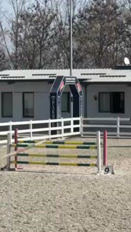 A person wearing a black jacket and helmet rides a chestnut horse in an arena. A white fence surrounds the arena. In the background is a building with a white frame and dark windows. A black arch with writing on it is visible near the building. A red and green striped jump with the number nine next to it is in the foreground. The horse is trotting.
