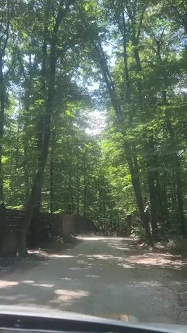 The video shows a view from inside a vehicle moving down a dirt road that is flanked by tall trees. The sun shines through the canopy of the trees, creating dappled light on the road. On the left side of the road, there is a wooden fence. The road curves slightly ahead.