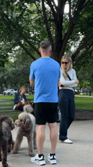 Dogs, yoga, and downtime in a Chicago park