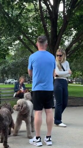 Dogs, yoga, and downtime in a Chicago park