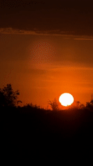 Sunset documented from multiple vantage points May 24 evening