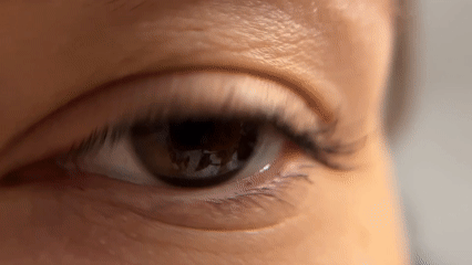 Close-up cat videos recorded in Limassol, Cyprus