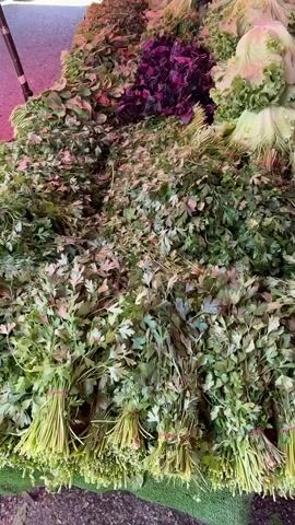 This video shows a vibrant outdoor market scene filled with fresh produce. In the foreground, large bunches of leafy green herbs, likely parsley, are neatly tied with red bands. Behind them, mounds of lettuce heads and reddish-purple leafy vegetables are visible. Further back, the camera pans to reveal piles of carrots, some in bright pink bags and others displayed on a metal tray. Other vegetables like leeks and dill are also present. Several market stalls are set up, with awnings providing shade. In the background, various people can be seen browsing and interacting, suggesting a bustling market atmosphere. The overall impression is one of abundance and freshness, typical of a local farmer's market.