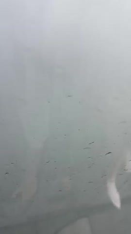 The video begins with a shot of a blurry, foggy surface, possibly a window. As the video progresses, faint outlines of people can be seen through the fog. One person appears to be in the foreground, with their hand visible. Another person is in the background, their face obscured by the fog. The audio consists of unintelligible speech, with occasional indistinct sounds. The overall impression is that of a dimly lit, enclosed space, with movement and muffled sounds occurring within.