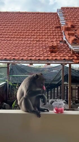 Kuta Selatan, Indonesia