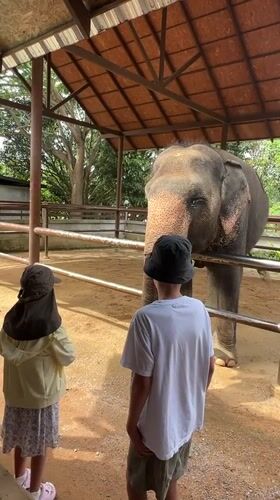 Kids meet elephants up close at a Ko Samui sanctuary