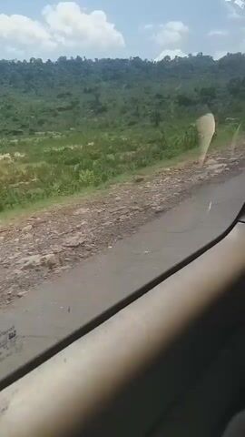 The video shows a view from inside a vehicle traveling along a rough road. The road surface is a mix of asphalt and dirt, with visible cracks and debris. To the left of the road is a grassy embankment that slopes up towards a heavily vegetated hillside. The hillside is covered in a dense green foliage, with scattered trees and shrubs. In the background, the sky is visible, with some white clouds against a light blue color. The overall impression is of a rural or undeveloped area.