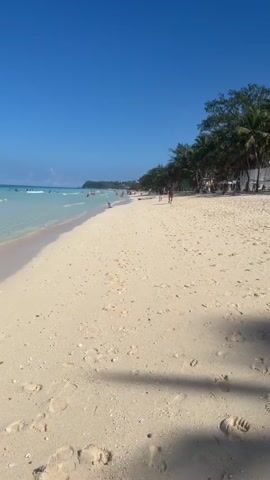 This is a vertical, slightly tilted, first-person perspective video of a sunny beach. The clear blue sky occupies the top half of the frame, while the bottom half shows a sandy beach with scattered footprints. The ocean is visible on the left, with gentle waves lapping at the shore. The waterline creates a light pinkish hue on the wet sand. Palm trees and other greenery line the beach, separating it from buildings or structures in the background. Several people are visible in the distance, some walking along the shore, others in the water. The overall atmosphere is tranquil and idyllic.
