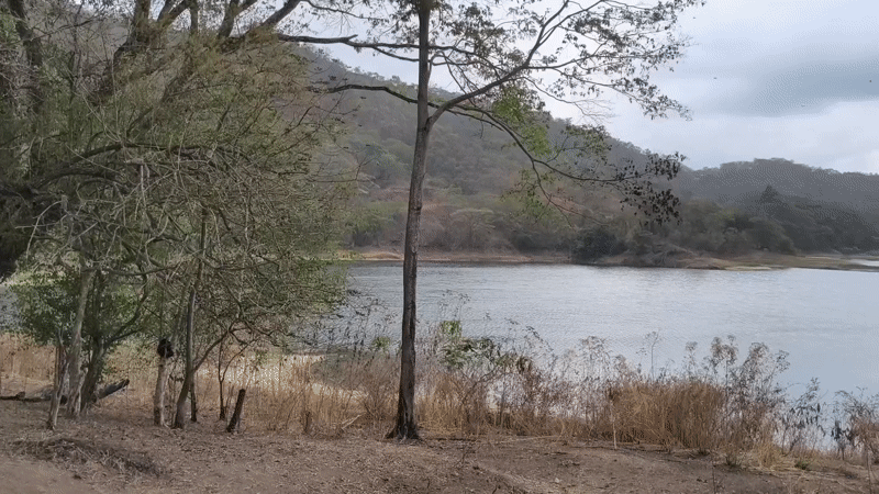 Lake scene documented near Tinaquillo, Venezuela Friday evening