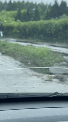 Rain floods Izhevsk streets while resident tends pink peonies indoors