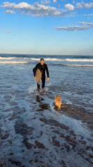 Surfer and dog enjoy afternoon at Bulli Beach
