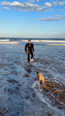 Surfer and dog enjoy afternoon at Bulli Beach