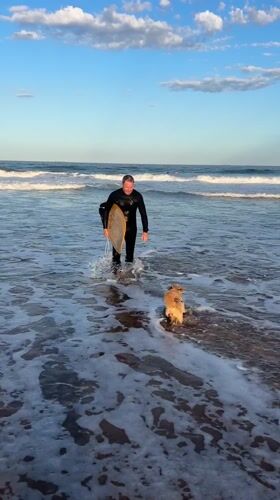 Surfer and dog enjoy afternoon at Bulli Beach