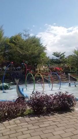 The video shows a water park with a clear blue sky and some clouds. In the foreground, there are red bushes and a brick walkway. Behind the bushes, there is a shallow pool with a dolphin statue and a turtle statue. There are also several colorful arches with water sprays. In the background, there are trees and more playground equipment. A few people are visible in the pool, playing in the water. The overall scene is bright and sunny, suggesting a pleasant day at the park.