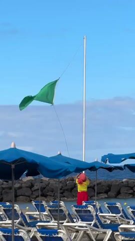 A vertical shot on a sunny day shows a lifeguard in a yellow top and red bottoms raising a green flag on a white pole. The green flag is flapping in the wind. In the foreground, blue umbrellas are set up over rows of empty lounge chairs on a beach. Beyond the lounge chairs is a rocky breakwater, and the ocean stretches to the horizon under a clear blue sky with some clouds.