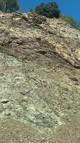 The video shows a view of a steep, rocky slope with sparse vegetation. The camera is moving upwards, capturing the texture and layers of the rock face. Several trees, primarily pine trees, are visible at the top of the slope and along its sides. The sky is blue and appears clear. The ground in the foreground is covered with loose rocks and dirt. The lighting suggests it is daytime.