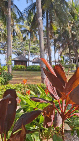 Morning motorcycle rides and tropical resort scenes in Vietnam