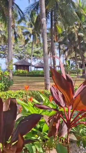 Morning motorcycle rides and tropical resort scenes in Vietnam