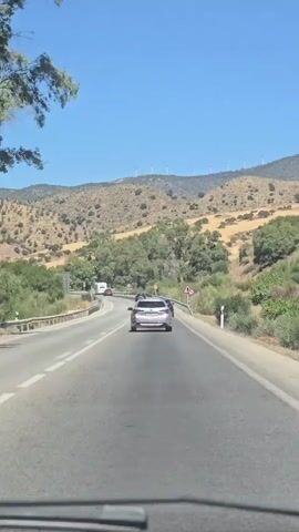 The video captures a car's perspective while driving on a paved road during the daytime. The road is a two-lane highway with a dividing line, curving gently to the left. In front, other vehicles, including a white SUV and a dark-colored car, are visible. The landscape surrounding the road is characterized by dry, rolling hills covered in scrub vegetation and scattered trees. In the distance, on the crests of the hills, several wind turbines are positioned. The sky is clear and bright blue. Traffic signs, including a warning sign for a curve and a speed limit sign, are present along the roadside. The overall impression is a scenic drive through a rural, hilly area under a clear sky.