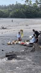 Traditional ceremony and pastoral scenes documented in Selemadeg