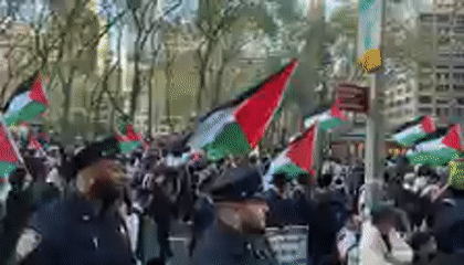 Large crowd displays Palestinian flags in New York gathering