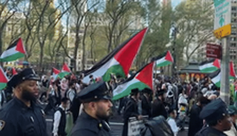 Large crowd displays Palestinian flags in New York gathering