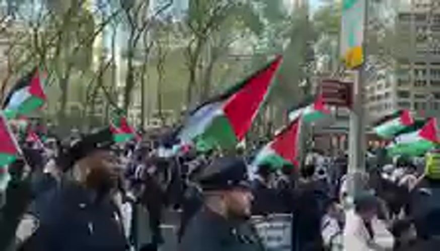 Large crowd displays Palestinian flags in New York gathering