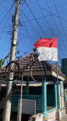 Street-level morning in Mangunrejo — animals, murals, and mosque life