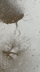 Urban rainfall creates wet streets, pedestrians use umbrellas