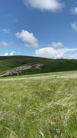 A low-angle shot shows a vast, green meadow under a bright blue sky dotted with fluffy white clouds. In the middle ground, a grassy hillside features a prominent rock formation that resembles a dinosaur, possibly a stegosaurus, with visible plates along its back. The foreground is filled with tall, wispy green grass swaying gently in the breeze. The overall scene is serene and natural, evoking a sense of open space and geological wonder. There are no people or animals visible in the frame. The lighting suggests a sunny day, likely during daylight hours.