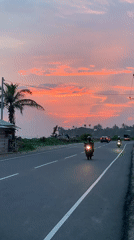 Mixed traffic flows on Kathaluwa road amid palm trees