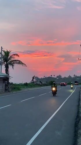 Mixed traffic flows on Kathaluwa road amid palm trees