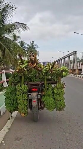 Banana-laden motorcycle spotted transporting cargo in Indonesian village